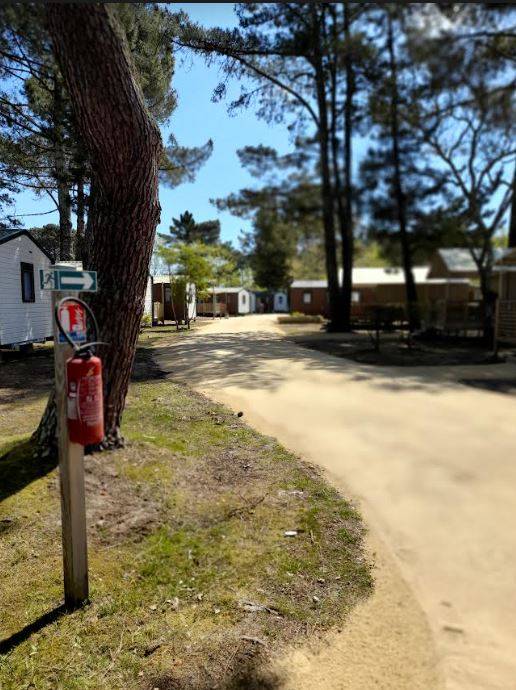 Aménagement d'espaces extérieurs d'un camping à Biscarrosse Campéole dans les Landes