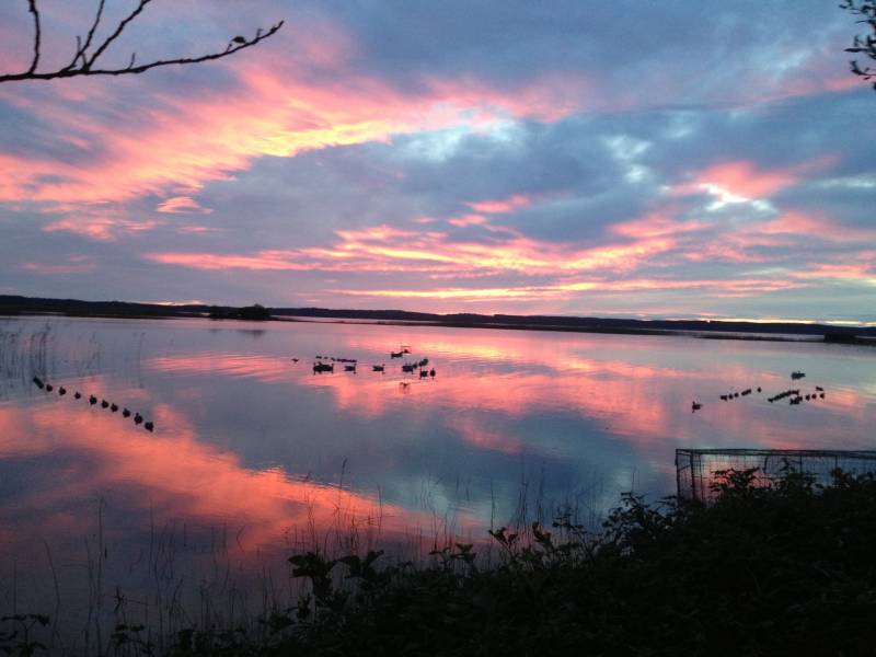 Congés annuel d'été
