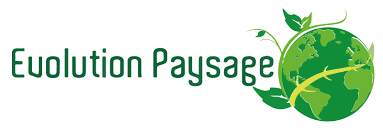 Travaux d'aménagements paysagers Biscarrosse Evolution Paysage